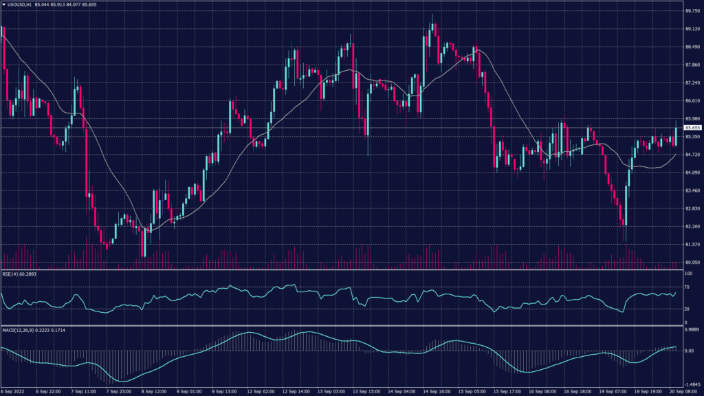 WTI crude oil chart shows it was at $85.60 a barrel, down 0.2%.