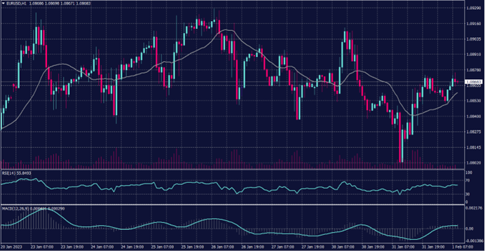 EURO Chart on 1 February 2023